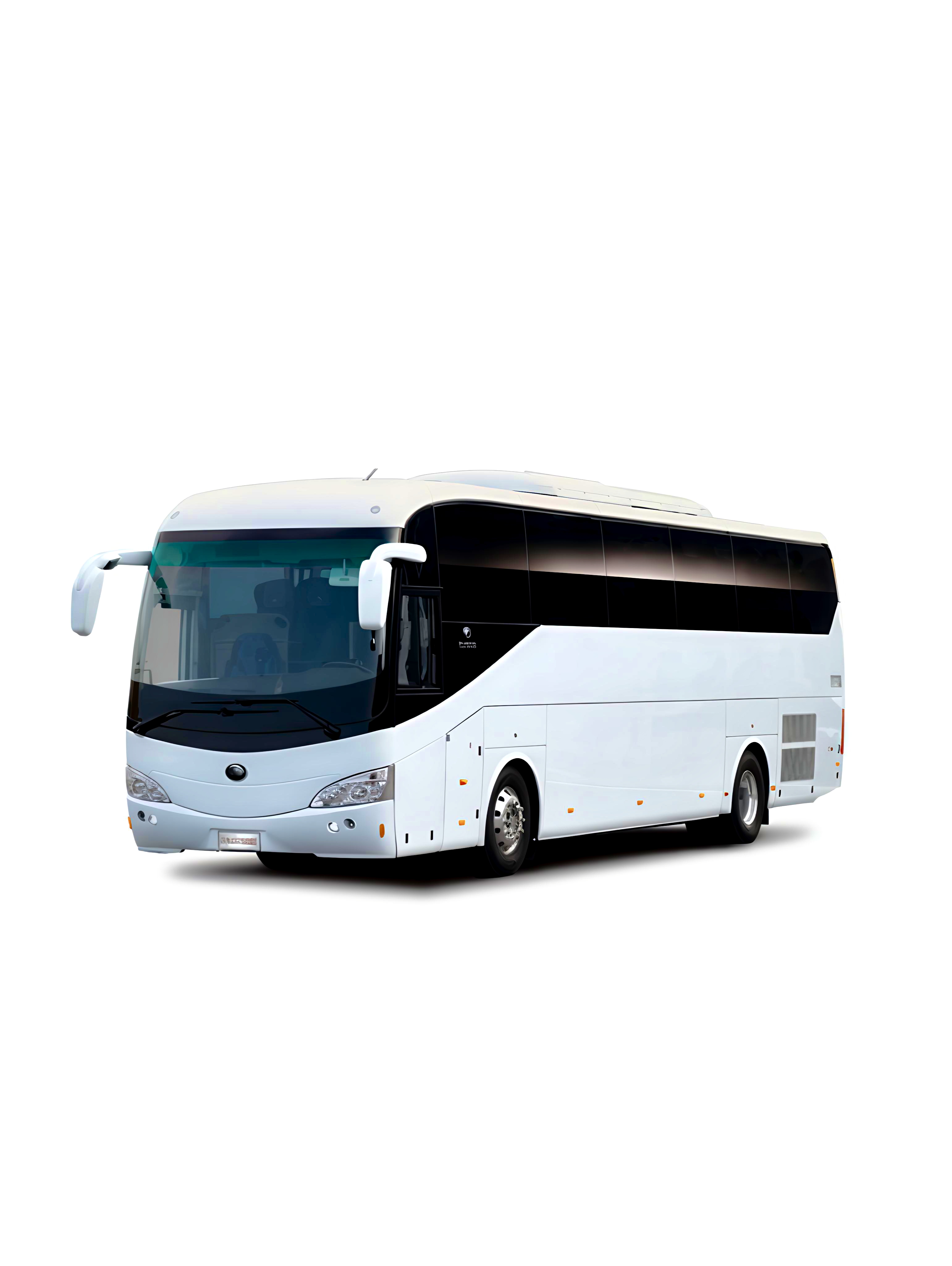 Mini Buses/ Tourists Coaches