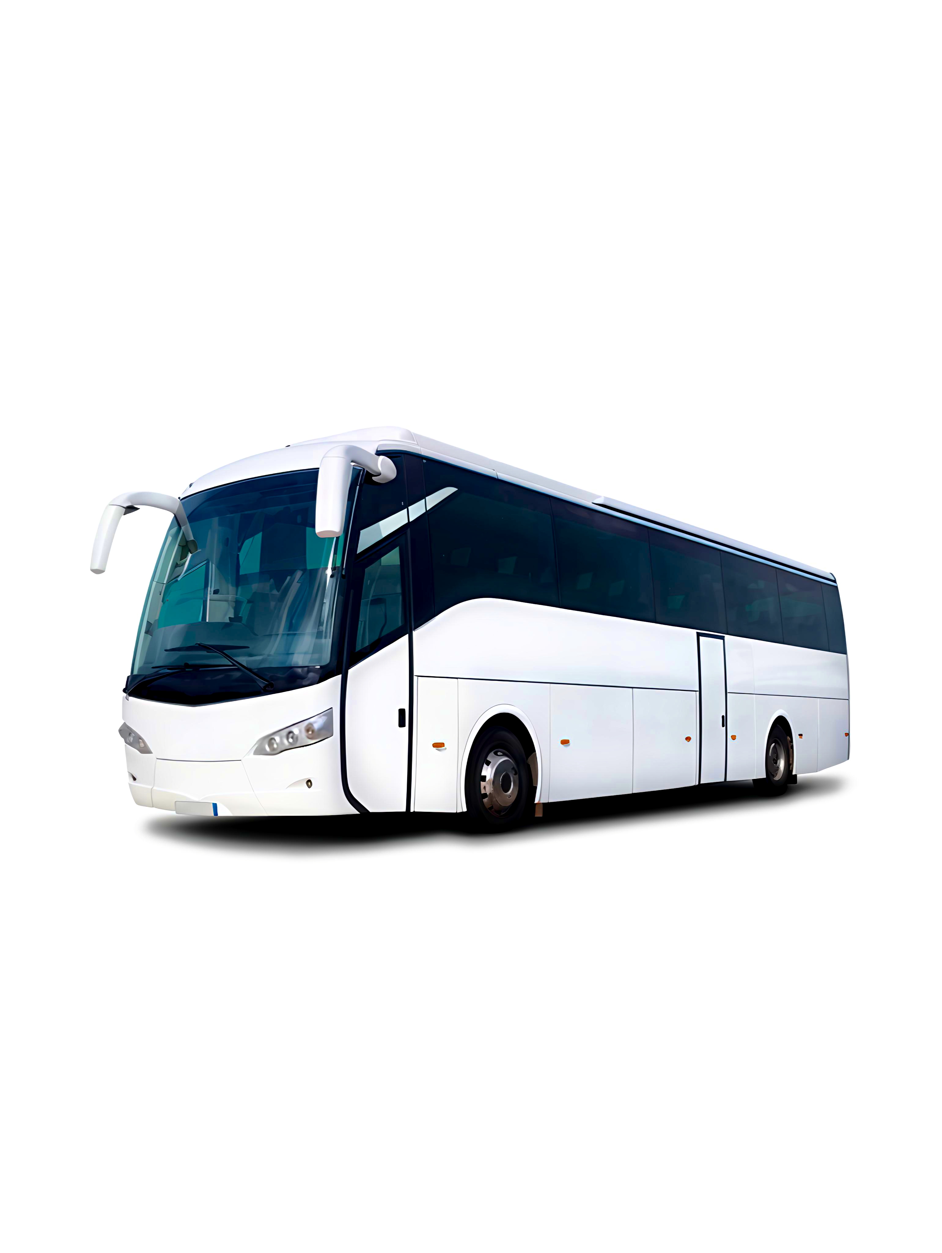 Full-Size Buses/ Coaches